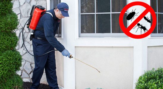 Konak Akrep İlaçlama böcek ilaçlama ve haşere kontrolü — ilaclama-tr.com